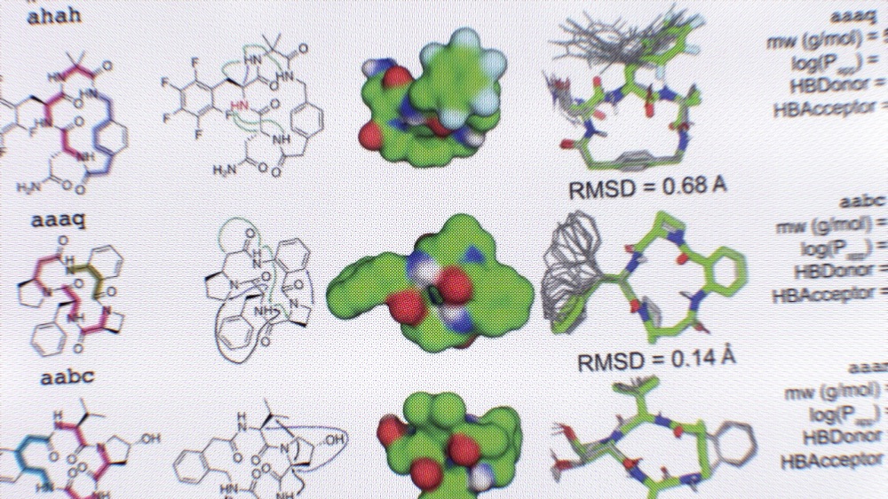 Expansive discovery of diverse macrocycles
