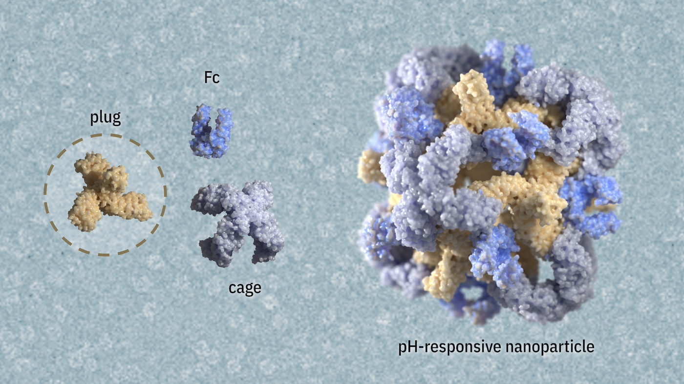 pH-responsive nanoparticles for targeted drug delivery